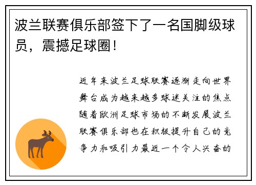 波兰联赛俱乐部签下了一名国脚级球员，震撼足球圈！